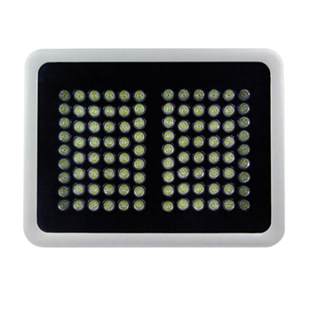 100ߴLED